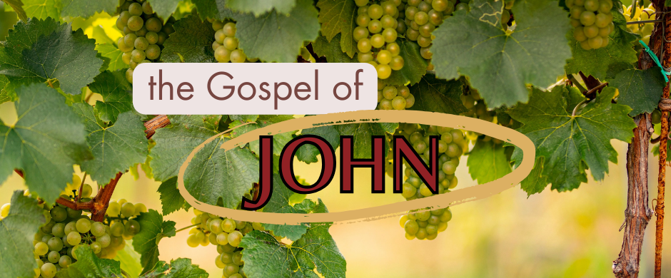 Gospel of John Sermon Series Long